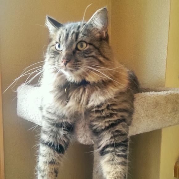 Meet your Posher, Christine - Picture 1 of 1